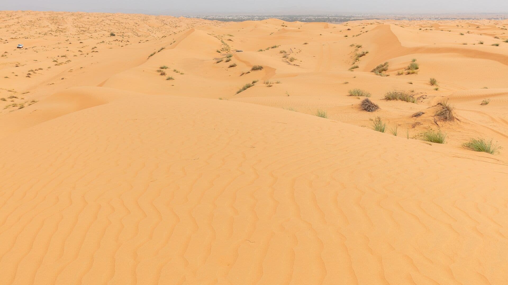 When to visit Oman: a season-by-season guide