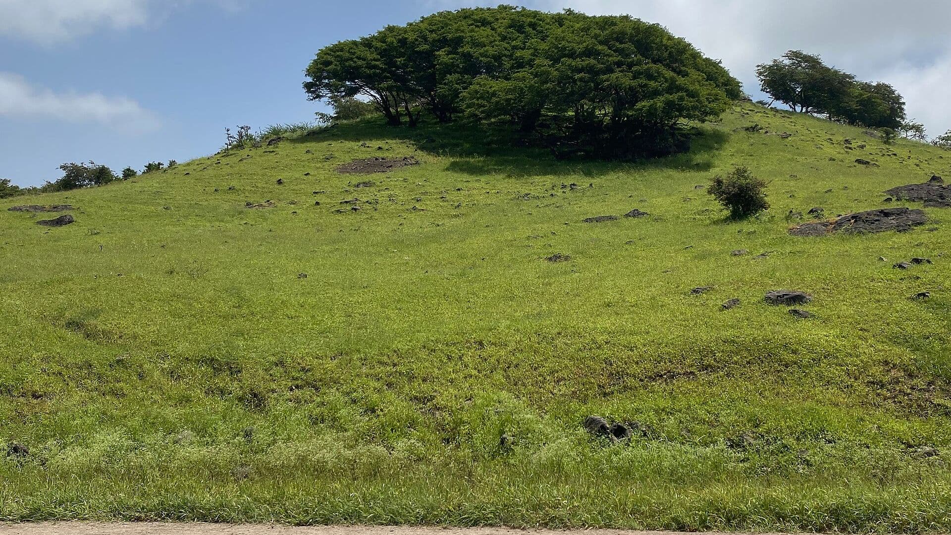 Salalah
