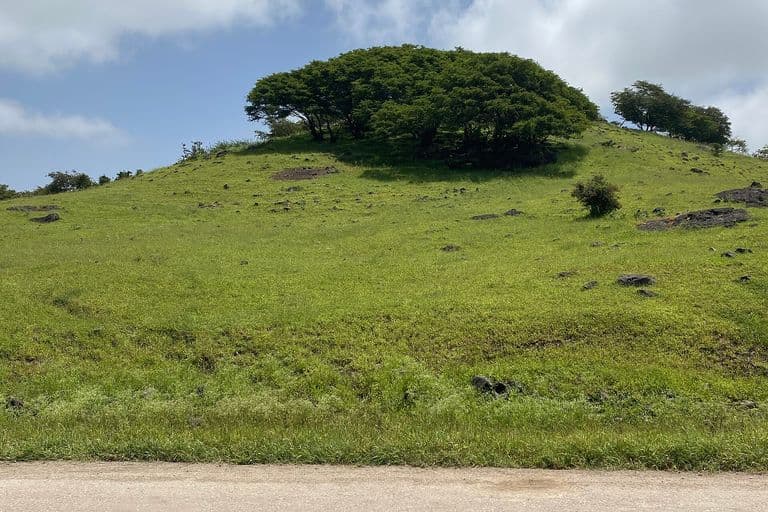 Salalah Khareef Trail